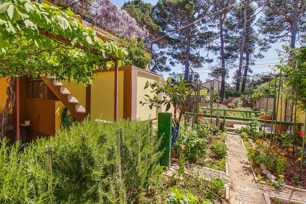 Apartments Petra Mali Lošinj Exteriér fotografie